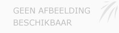 Afbeelding › Dr. Klaas Vercruysse